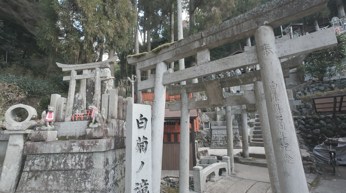 白菊の滝